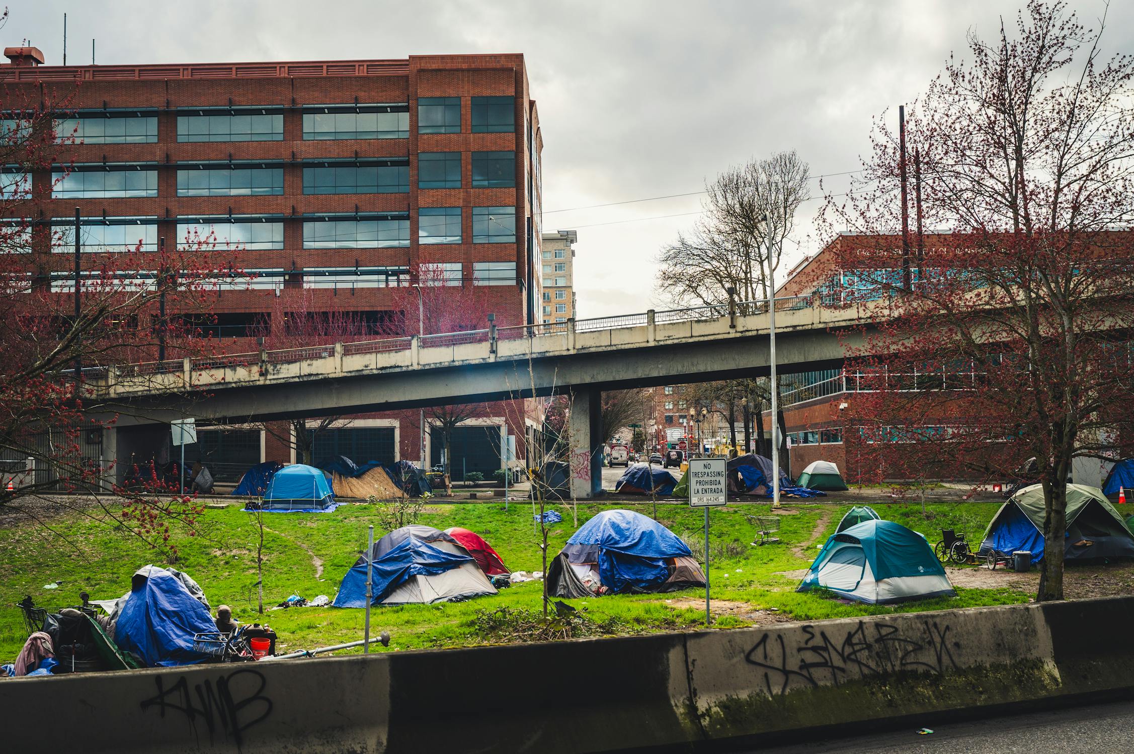 Austin TX Homeless Encampment Removal Services